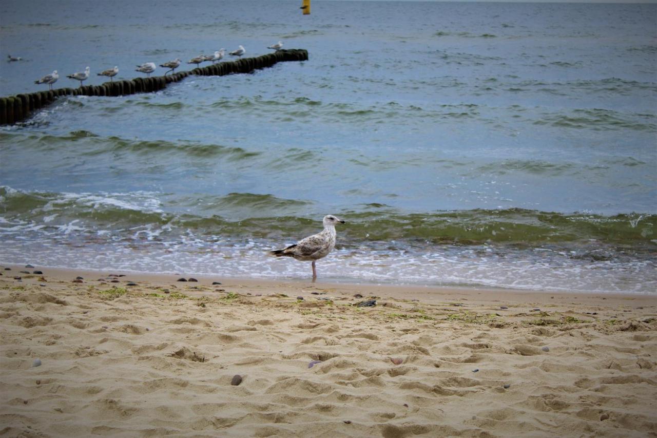Prima Playa Apartment Miedzyzdroje Luaran gambar